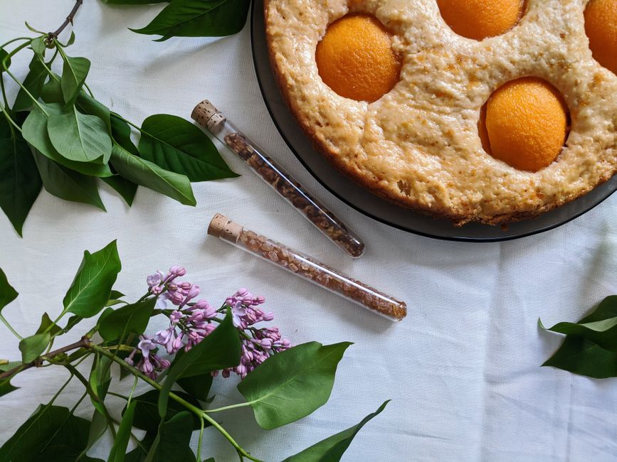 Apricot Almond Cream Tart (Amandine) — photo du plat